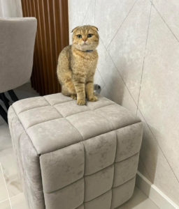 Ищите вдохновение в Инстаграм