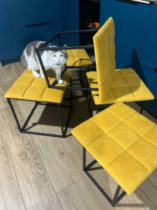 Ищите вдохновение в Инстаграм